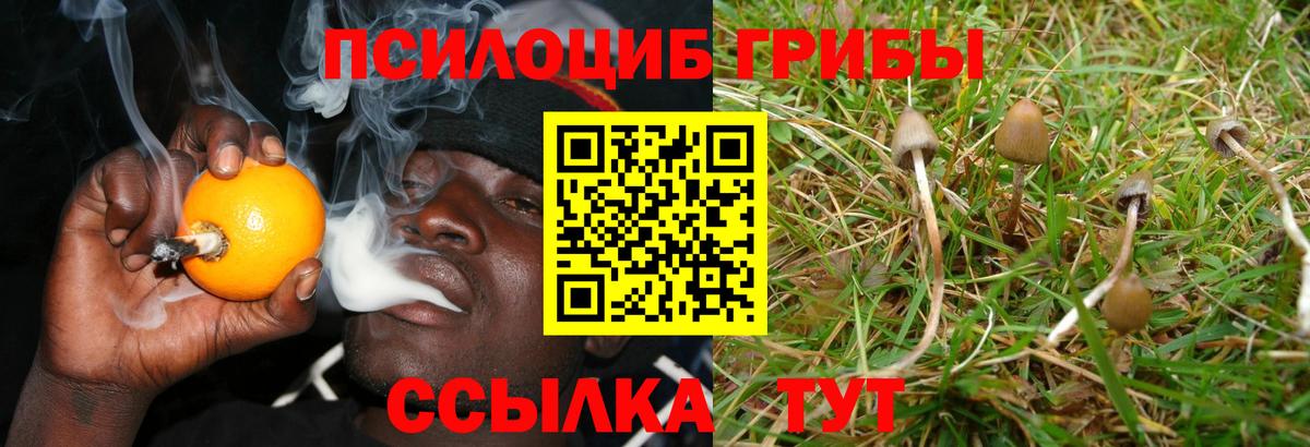Ликино-Дулёво  Галлюциногенные грибы Psilocybe  Галлюциногенные грибы Psilocybine cubensis  Вход с VPN 